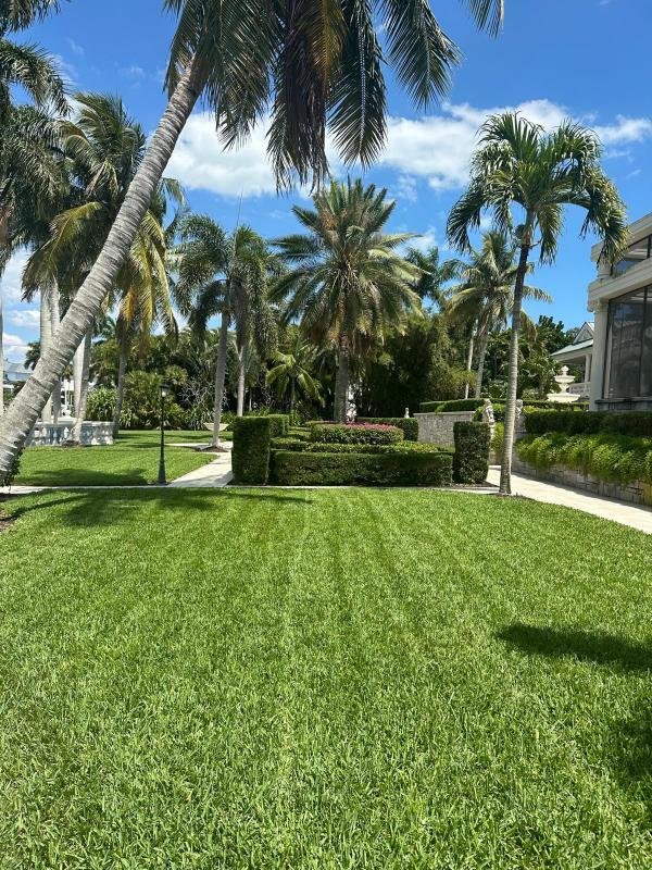 Landscaping Design & Installation